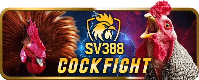 Video Slots Hiện Đại